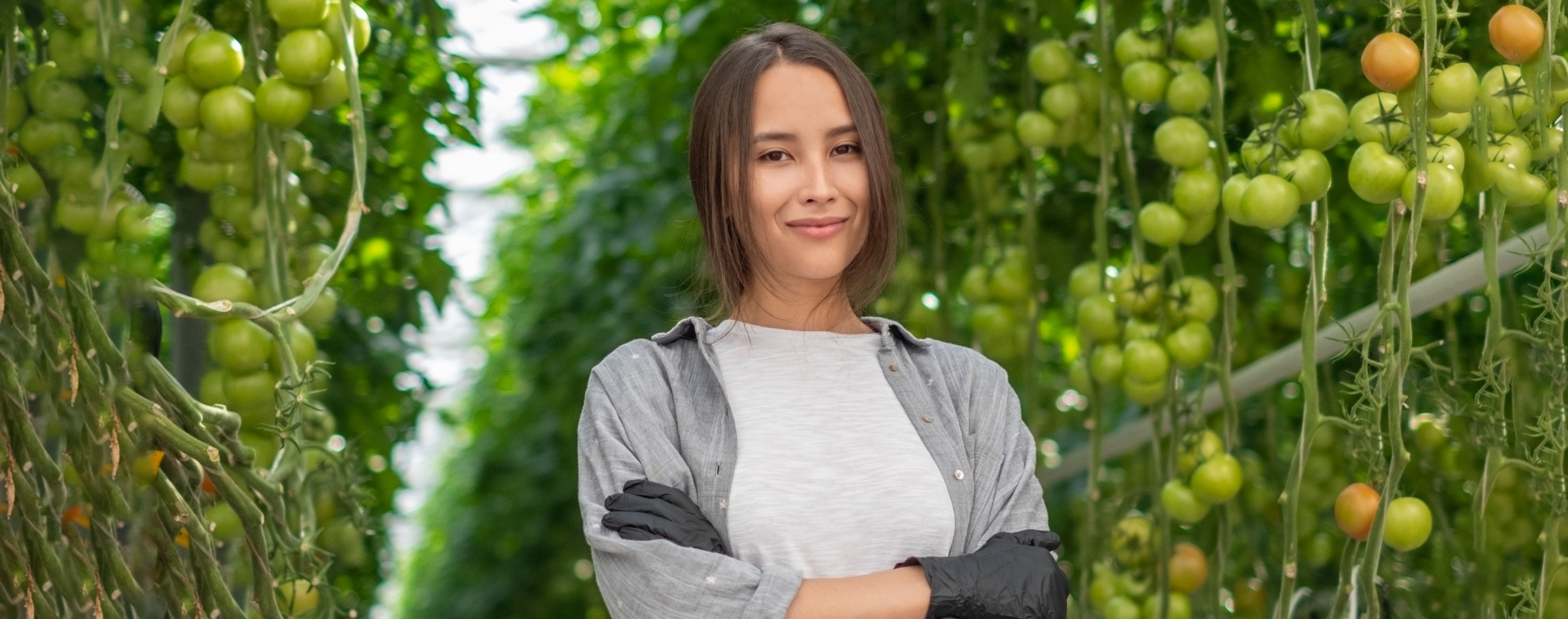 Medewerker Tomaten