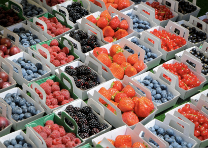 Fruit Sorting & Packing